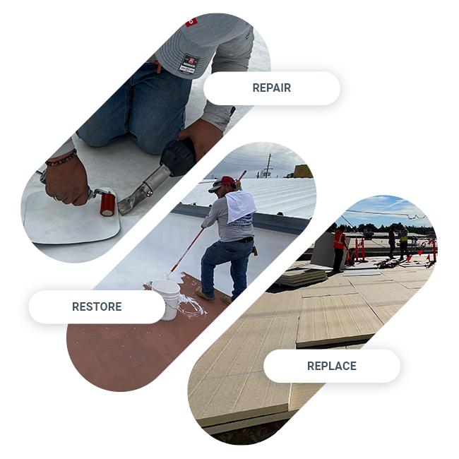 Repair, Restore, Replace