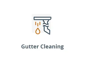 Gutter Cleaning